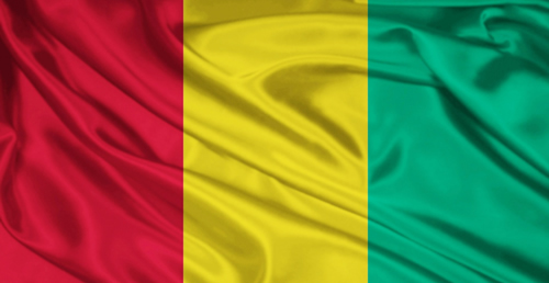 guinea flag 1