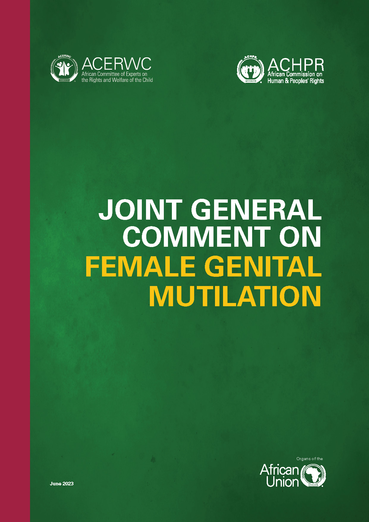 Joint General Comment 8 ACHPR ACERWC on FGM