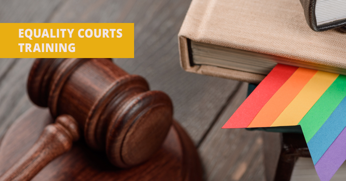 Equality Courts training